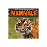 The Secret Book Company Mammals (häftad, eng)