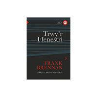 Atebol Cyfyngedig Cyfres Amdani: Trwy'r Ffenestri (häftad, wel)