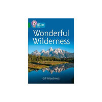 HarperCollins Publishers Wonderful Wilderness (häftad, eng)