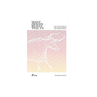 Hoaki What Images Really Tell Us (häftad, eng)