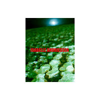 Mousse Publishing DORM (häftad, eng)