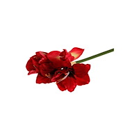 [NORDIC Brands] Dekoration Amaryllis 50cm