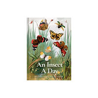 Batsford An Insect A Day (inbunden, eng)