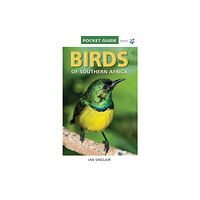 Penguin Random House South Africa Birds of Southern Africa (häftad, eng)