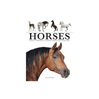 Amber Books Ltd Horses (häftad, eng)