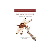 Princeton University Press Dragonflies of North America (häftad, eng)