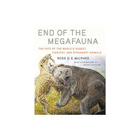 WW Norton & Co End of the Megafauna (inbunden, eng)