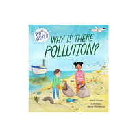 Hachette Children's Group Why in the World: Why is there Pollution? (häftad, eng)