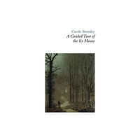 Smith|Doorstop Books A Guided Tour of the Ice House (häftad, eng)