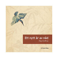 Dag Lindberg Ett nytt år av nåd (häftad)