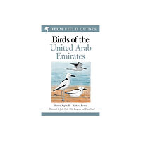 Bloomsbury Publishing PLC Field Guide to Birds of the United Arab Emirates (häftad, eng)