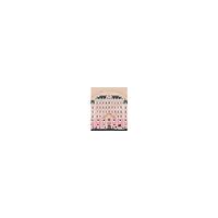 Matt Zoller Seitz Wes anderson collection - the grand budapest hotel (inbunden, eng)