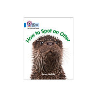 HarperCollins Publishers How to Spot an Otter (häftad, eng)