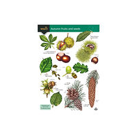 Field Studies Council Autumn fruits and seeds (häftad, eng)