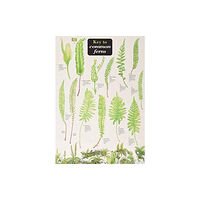 Field Studies Council Key to Common Ferns (bok, eng)