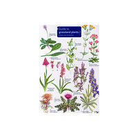 Field Studies Council Guide to Grassland Plants 2 (bok, eng)