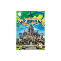 Bellwether Media Indonesia (inbunden, eng)