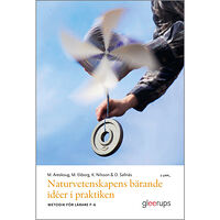 Mats Areskoug Naturvetenskapens bärande idéer i praktiken, 3 uppl : Metodik för lärare F–6 (häftad)