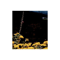 Chose Commune Mystery Street (häftad, eng)