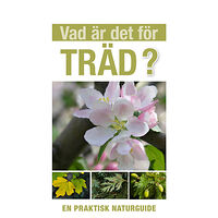 Tony Russell Vad är det för träd? (häftad)