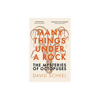 David Scheel Many Things Under a Rock (pocket, eng)