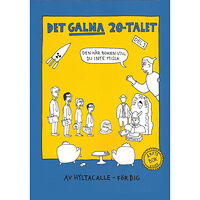 Cavallius Ordbyrå Det galna 20-talet (bok, storpocket)