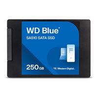 WD WD Blue SA510 WDS250G3B0A - SSD - 250 GB - SATA 6Gb/s