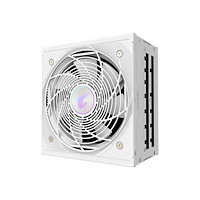 Gigabyte AORUS ELITE AE850PM PG5 ICE - nätaggregat - 850 Watt