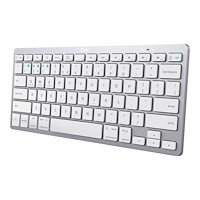 Trust Trust - tangentbord - QWERTY - amerikansk - silver Inmatningsenhet