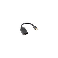 LANBERG Lanberg DisplayPort-adapter - 12 cm
