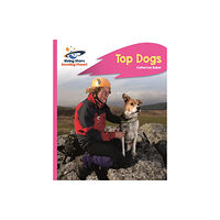 Hachette Learning Reading Planet - Top Dogs - Pink B: Rocket Phonics (häftad, eng)
