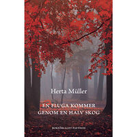 Bokförlaget Faethon En fluga kommer genom en halv skog (inbunden)