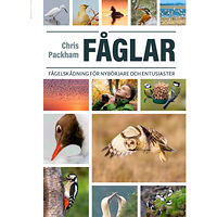 Chris Packham Fåglar : fågelskådning för nybörjare och entusiaster (inbunden)