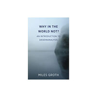 Free Association Books Why in the world not? (häftad, eng)