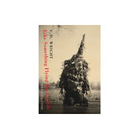 Bloodaxe Books Ltd Like Something Flying Backwards (häftad, eng)