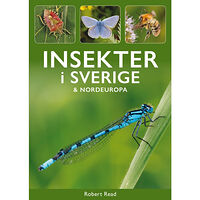 Tukan Förlag Insekter i Sverige och Nordeuropa (häftad)