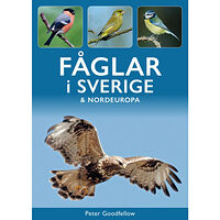 Tukan Förlag Fåglar i Sverige och Nordeuropa (häftad)