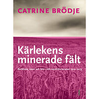 Catrine Brödje Kärlekens minerade fält : Berättare, klass och kön i tolv samtidsromaner 1912--2013 (bok, danskt band)