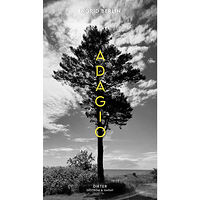 Ingrid Berlin Adagio (inbunden)