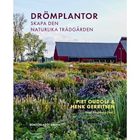 Piet Oudolf Drömplantor : skapa den naturlika trädgården (inbunden)