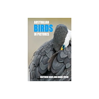 New Holland Publishers Australian Birds in Pictures (inbunden, eng)
