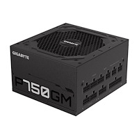Gigabyte Gigabyte P750GM - nätaggregat - 750 Watt