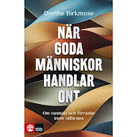 Dorthe Birkmose När goda människor handlar ont : om vanmakt och förråelse inom välfärden (inbunden)