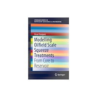 Springer International Publishing AG Modelling Oilfield Scale Squeeze Treatments (häftad, eng)
