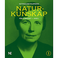 Rikard Ask NE Naturkunskap för gymnasiet : nivå 1 (häftad)