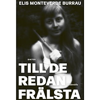 Elis Monteverde Burrau Till de redan frälsta (bok, kartonnage)