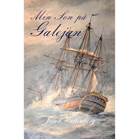 Jacob Wallenberg Min son på galejan (bok, danskt band)