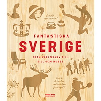 Peter Olausson Fantastiska Sverige : från världsarv till sill och nubbe (inbunden)