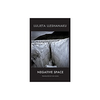 Bloodaxe Books Ltd Negative Space (häftad, eng)