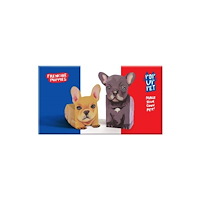 Now & Then Press Pop Up Pet Frenchie Puppies